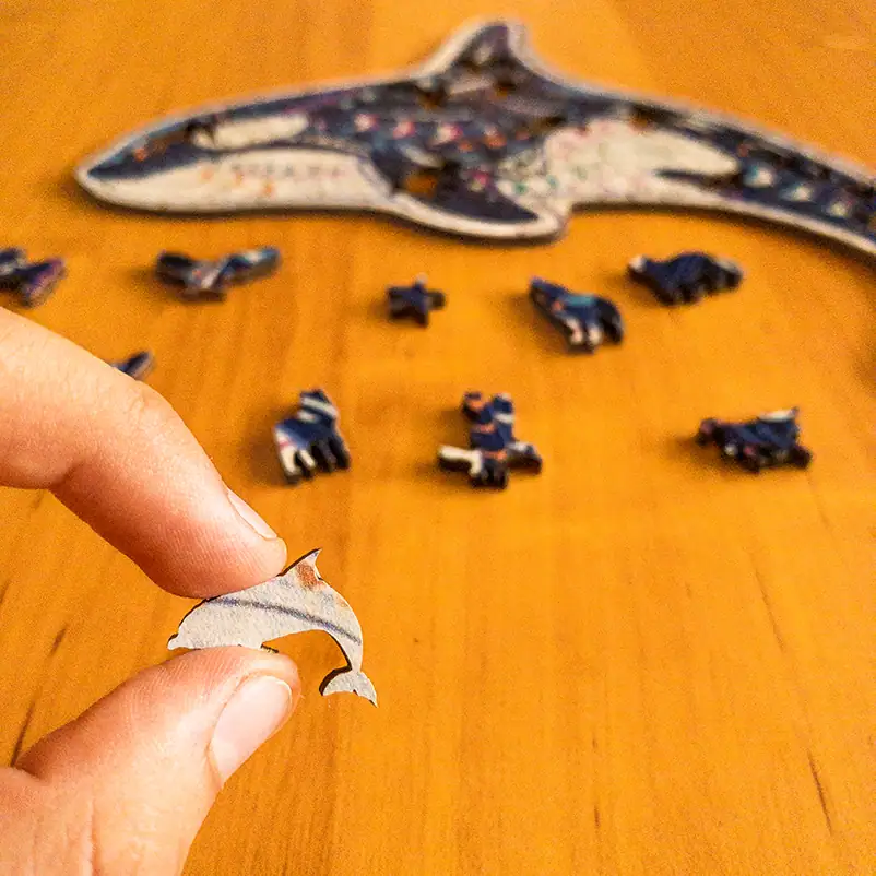 Delfin fa puzzle 5 Delfin fa puzzle 5