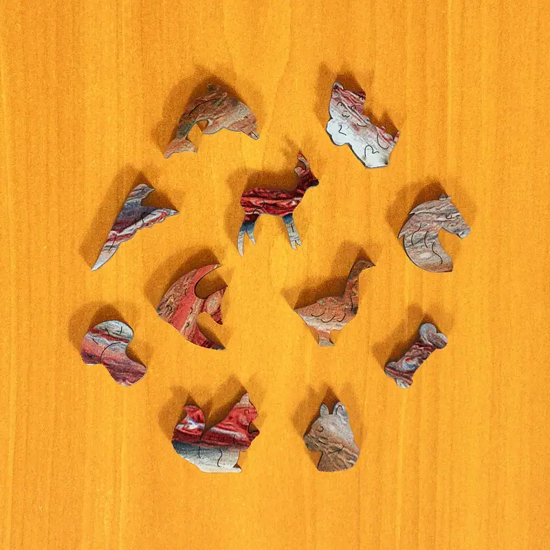 Jupiter fa puzzle 3 Jupiter fa puzzle 3